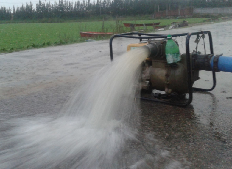 El Diario de San Pedro | Noticias locales y regionales