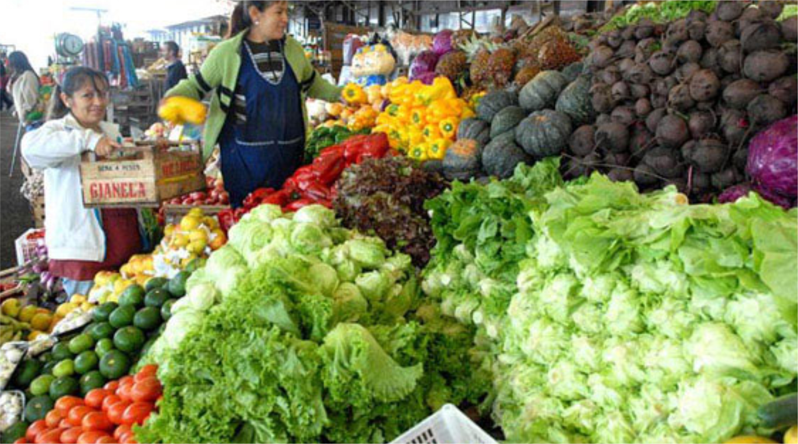 El Diario de San Pedro | Noticias locales y regionales