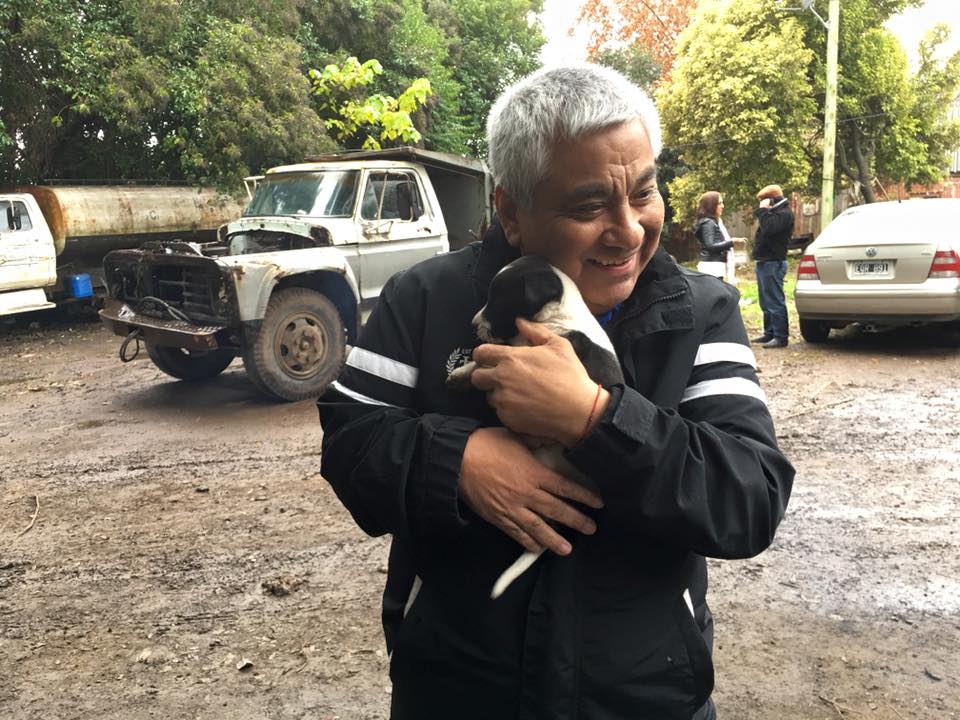 El Diario de San Pedro | Noticias locales y regionales