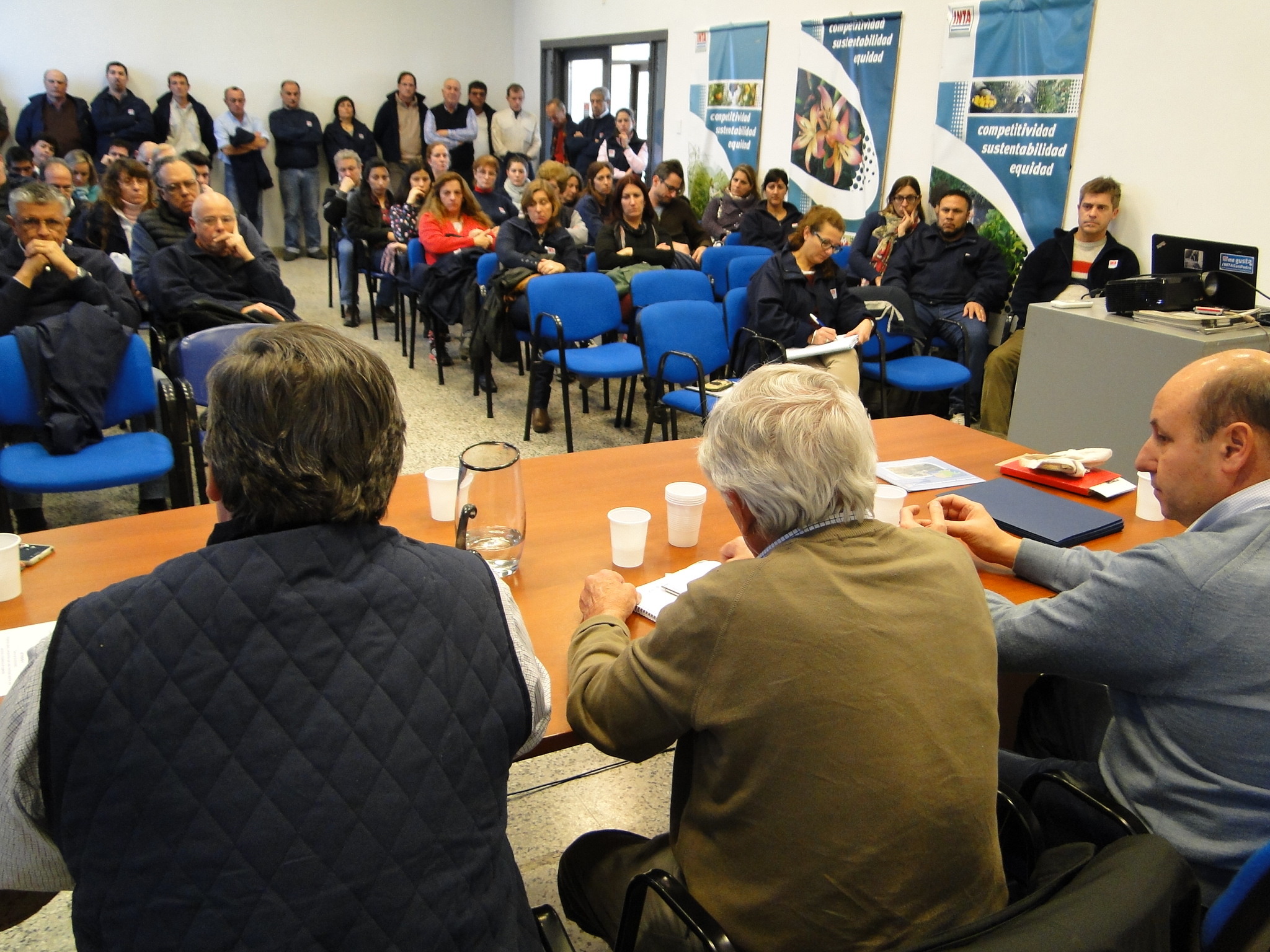 El Diario de San Pedro | Noticias locales y regionales