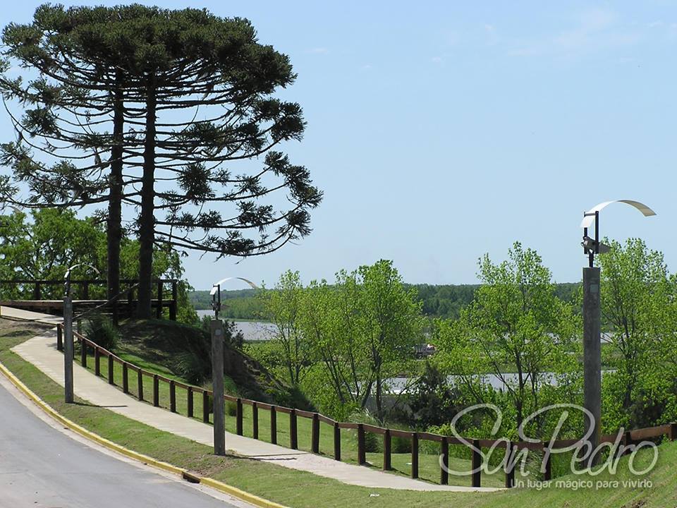 El Diario de San Pedro | Noticias locales y regionales