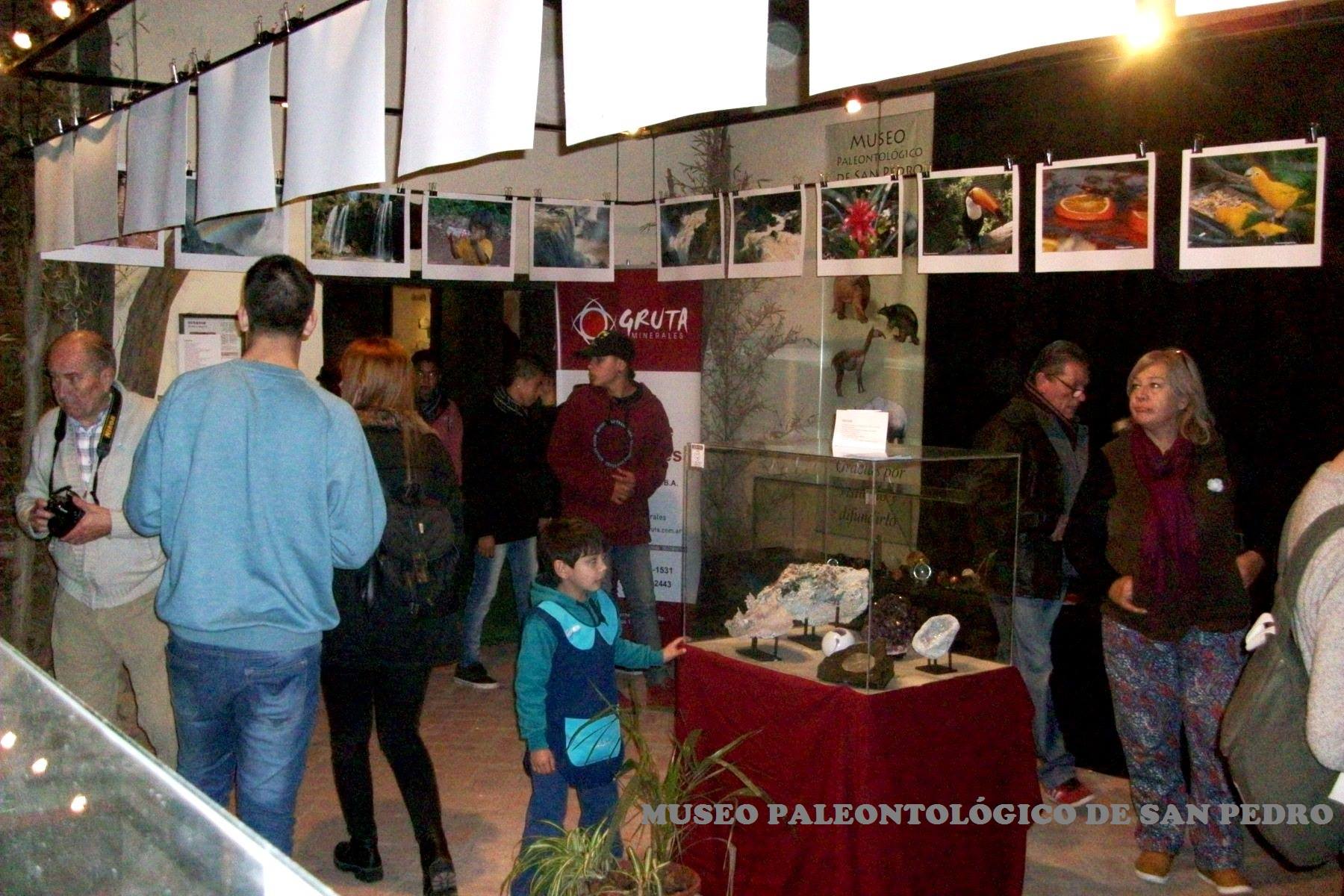 El Diario de San Pedro | Noticias locales y regionales