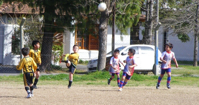 El Diario de San Pedro | Noticias locales y regionales