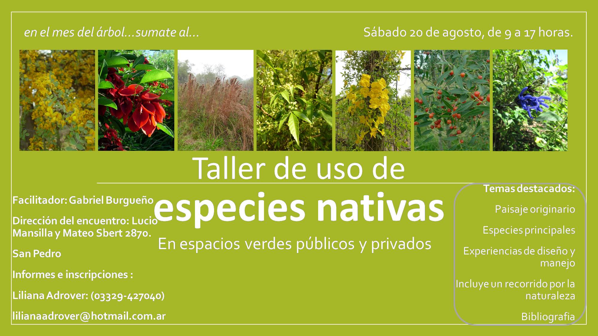 El Diario de San Pedro | Noticias locales y regionales