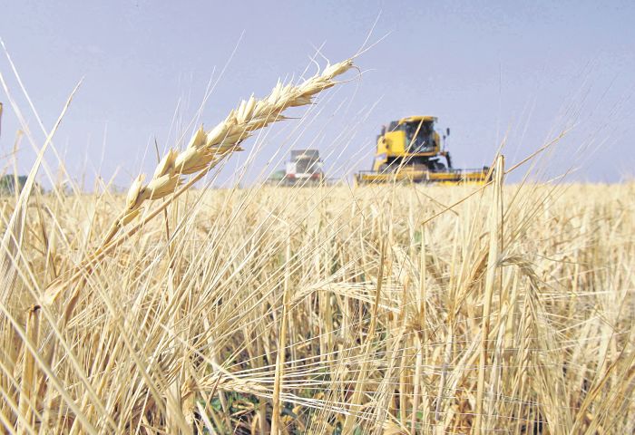 El Diario de San Pedro | Noticias locales y regionales