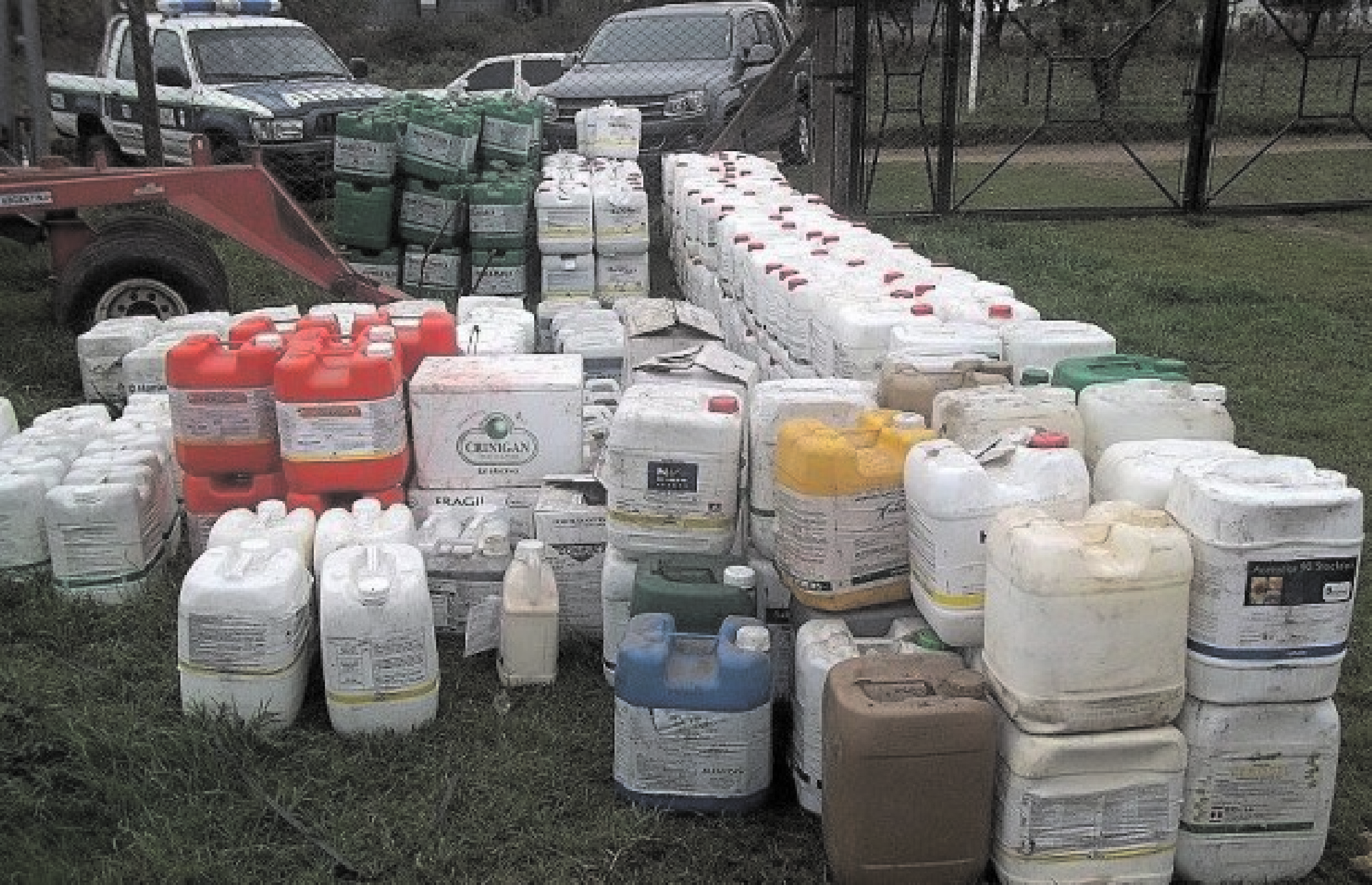 El Diario de San Pedro | Noticias locales y regionales