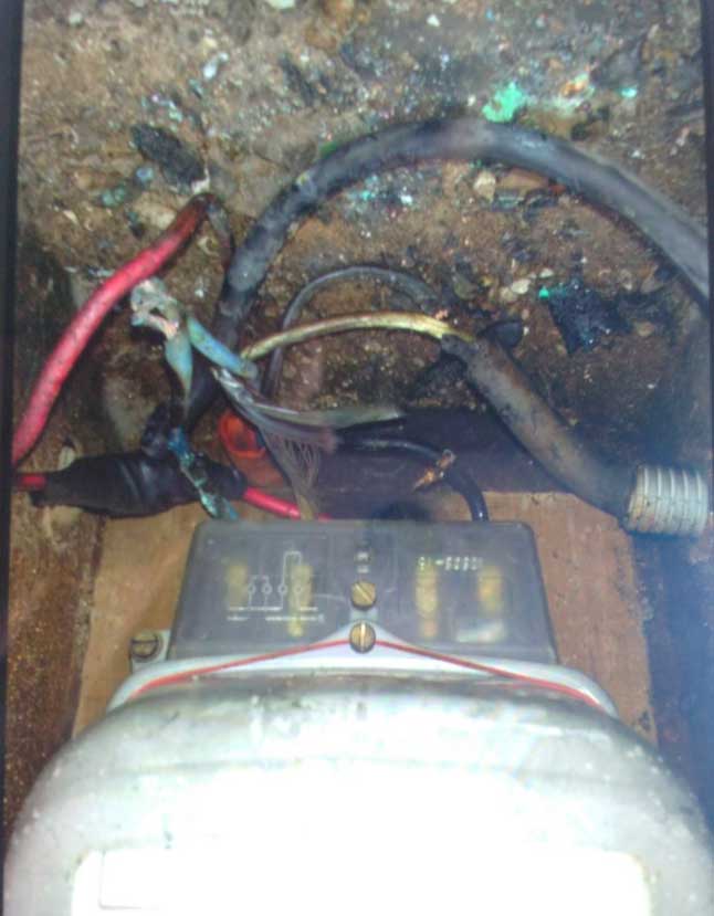 El Diario de San Pedro | Noticias locales y regionales