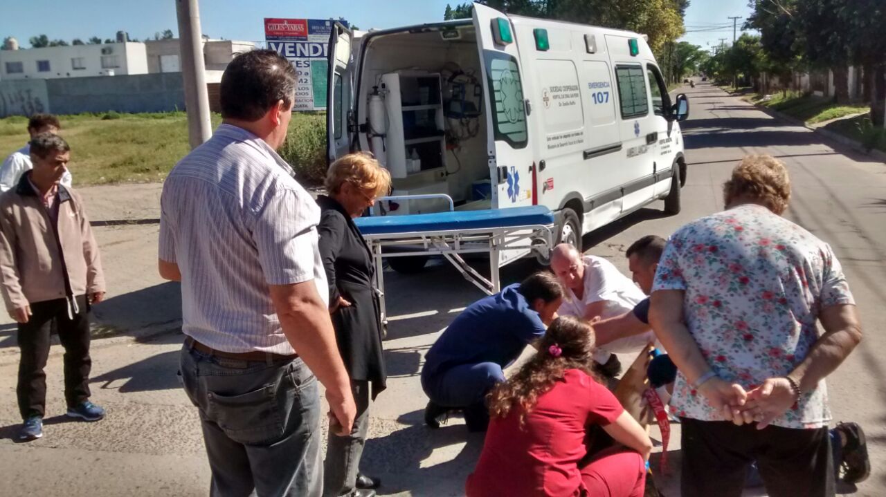 El Diario de San Pedro | Noticias locales y regionales