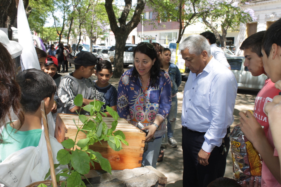 El Diario de San Pedro | Noticias locales y regionales
