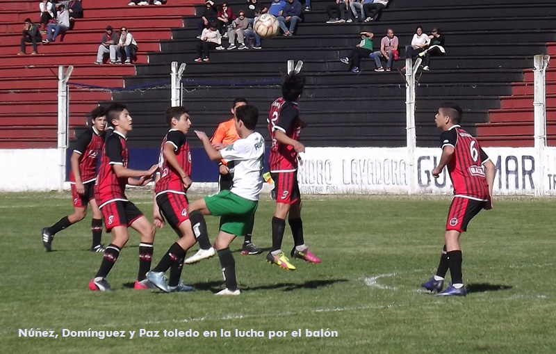 El Diario de San Pedro | Noticias locales y regionales