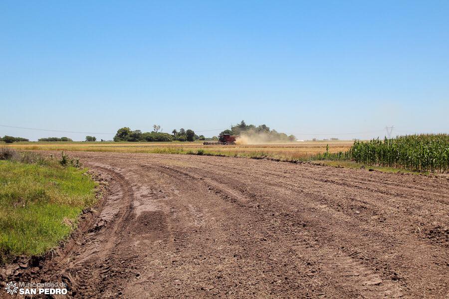 El Diario de San Pedro | Noticias locales y regionales