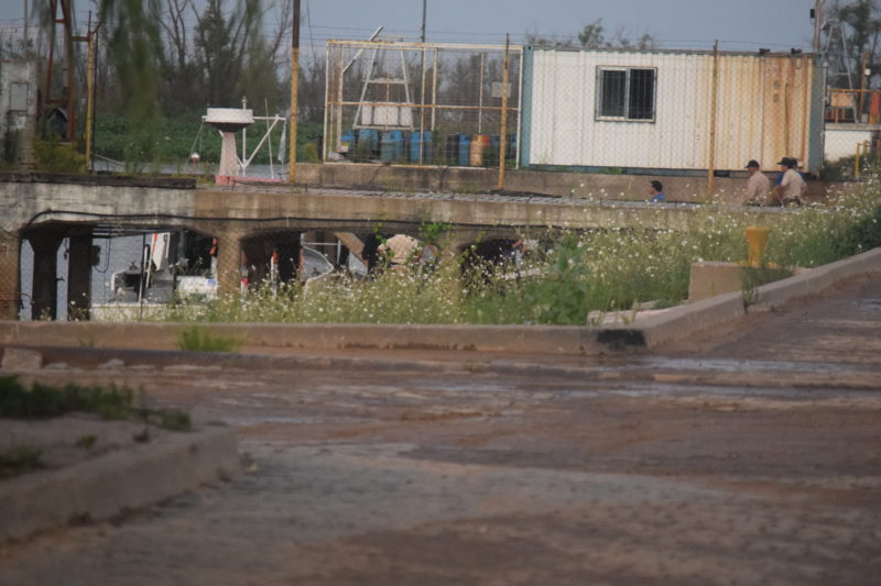 El Diario de San Pedro | Noticias locales y regionales