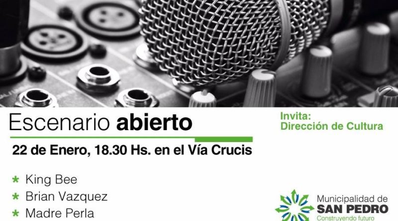 El Diario de San Pedro | Noticias locales y regionales