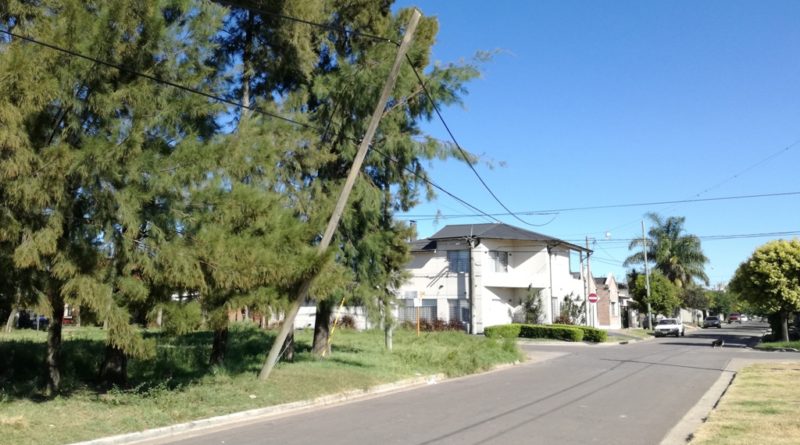 El Diario de San Pedro | Noticias locales y regionales