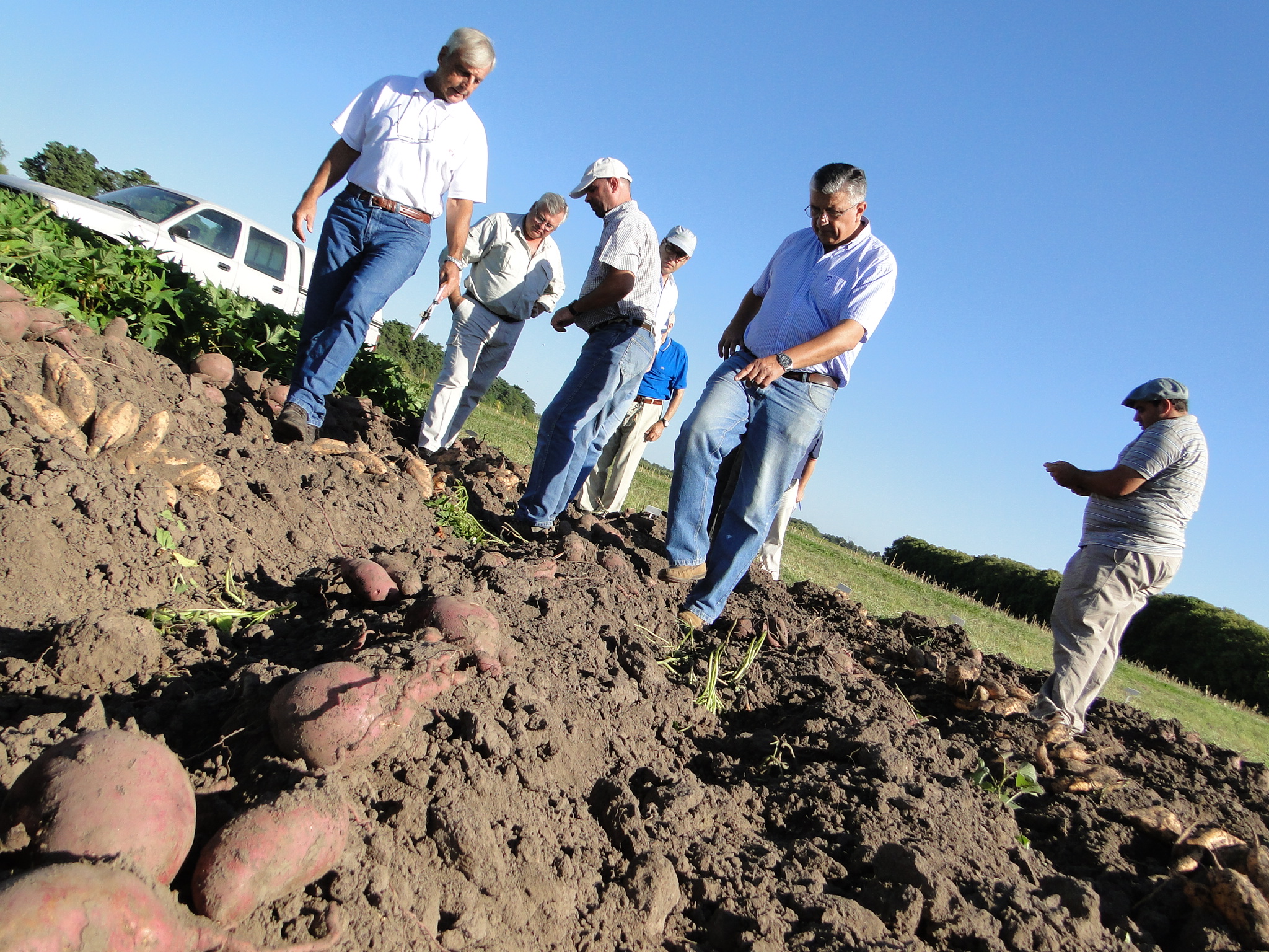 El Diario de San Pedro | Noticias locales y regionales