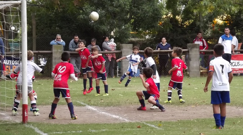 El Diario de San Pedro | Noticias locales y regionales