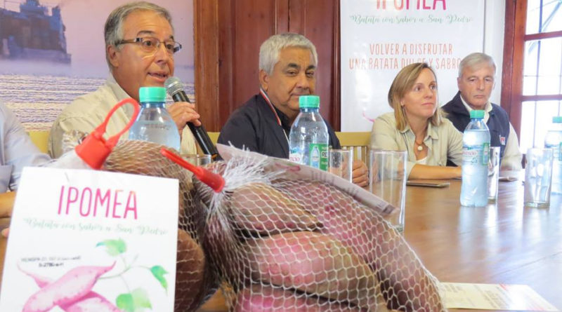 El Diario de San Pedro | Noticias locales y regionales