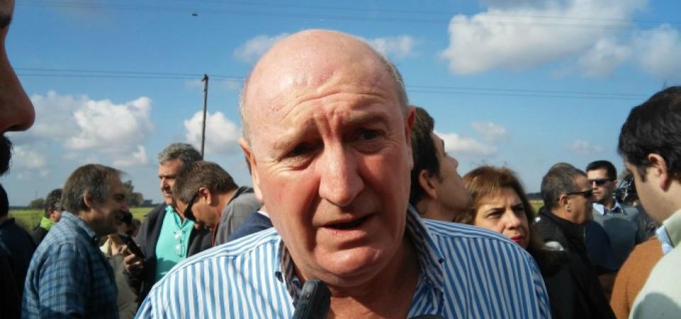 El Diario de San Pedro | Noticias locales y regionales