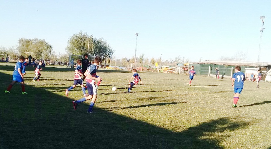 El Diario de San Pedro | Noticias locales y regionales