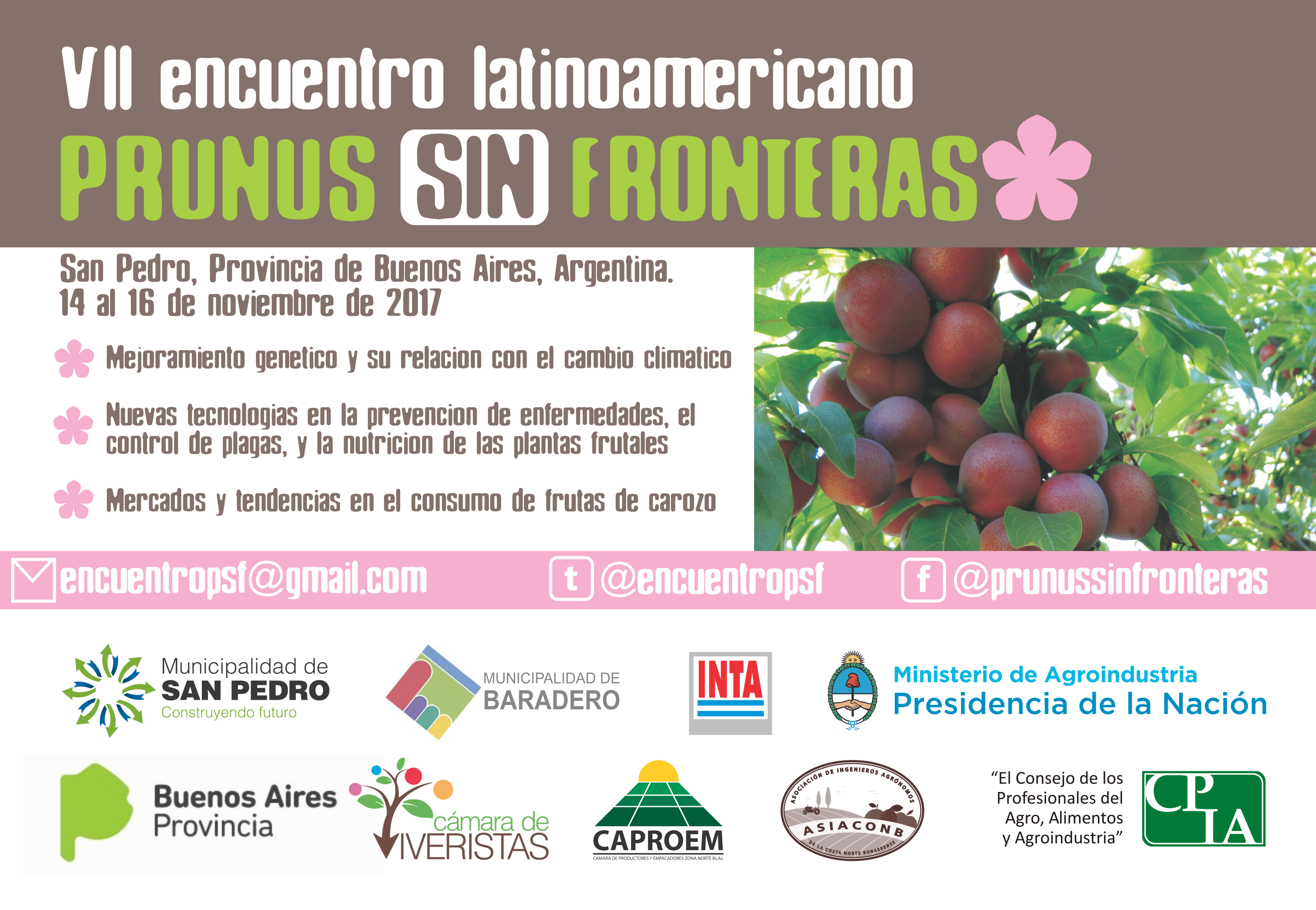 El Diario de San Pedro | Noticias locales y regionales