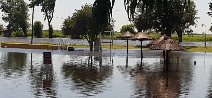 El Diario de San Pedro | Noticias locales y regionales