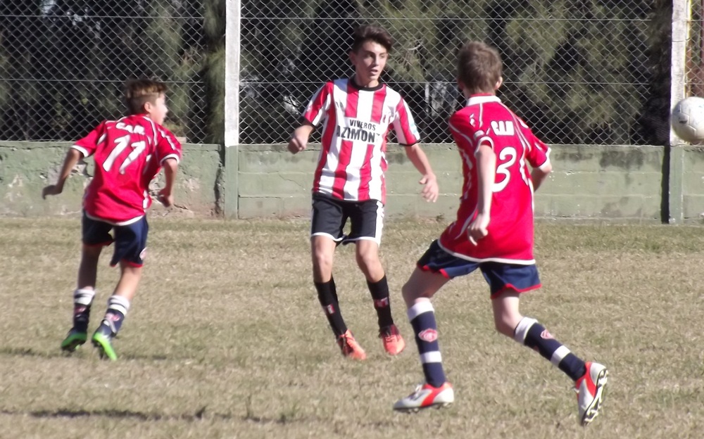 El Diario de San Pedro | Noticias locales y regionales