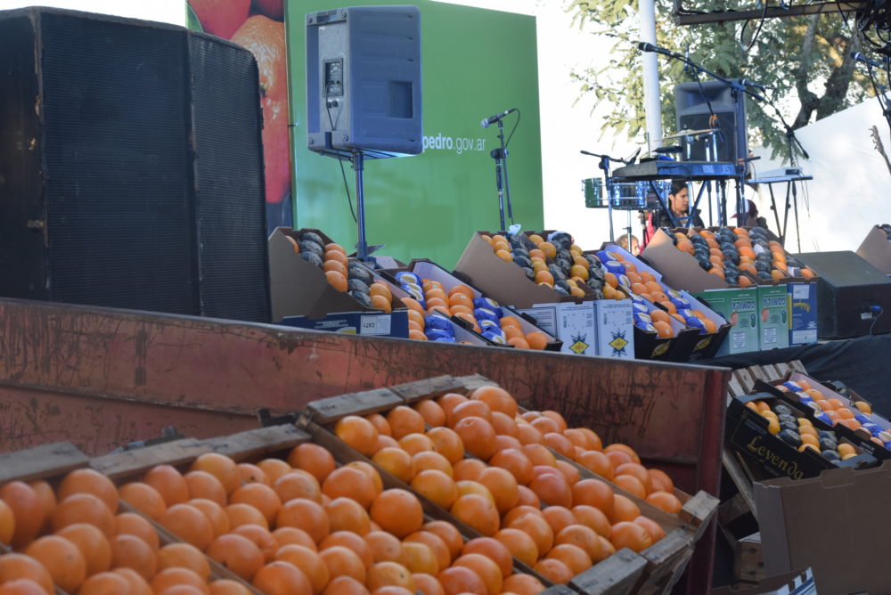 El Diario de San Pedro | Noticias locales y regionales