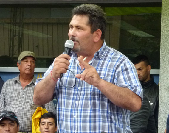 El Diario de San Pedro | Noticias locales y regionales