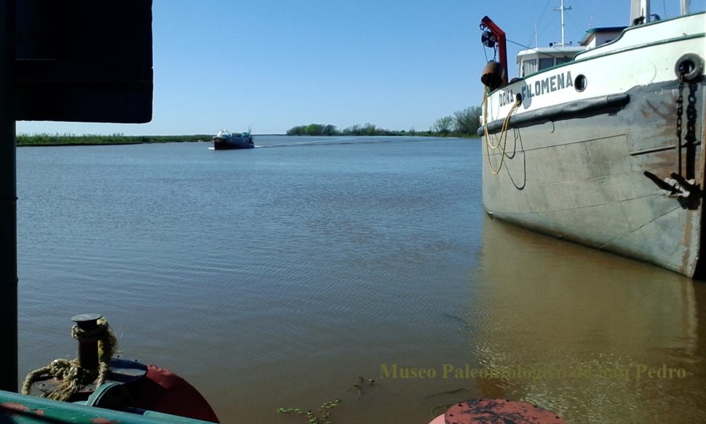 El Diario de San Pedro | Noticias locales y regionales