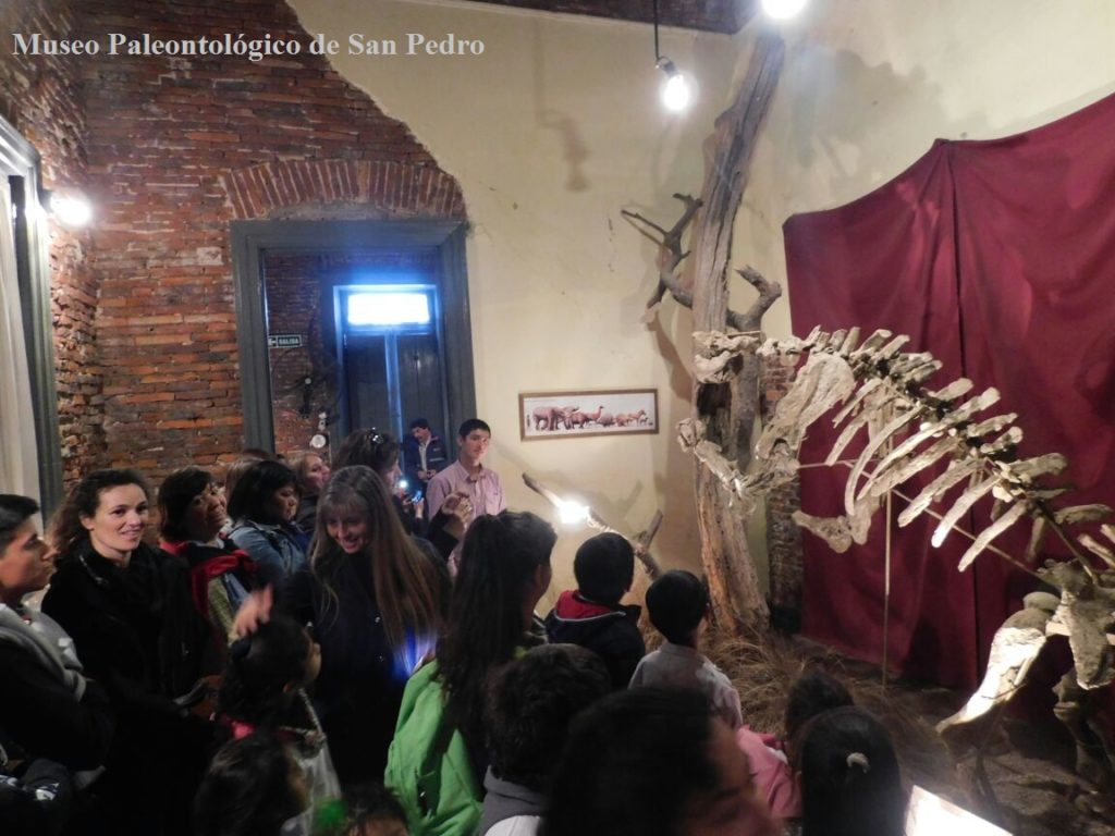 El Diario de San Pedro | Noticias locales y regionales