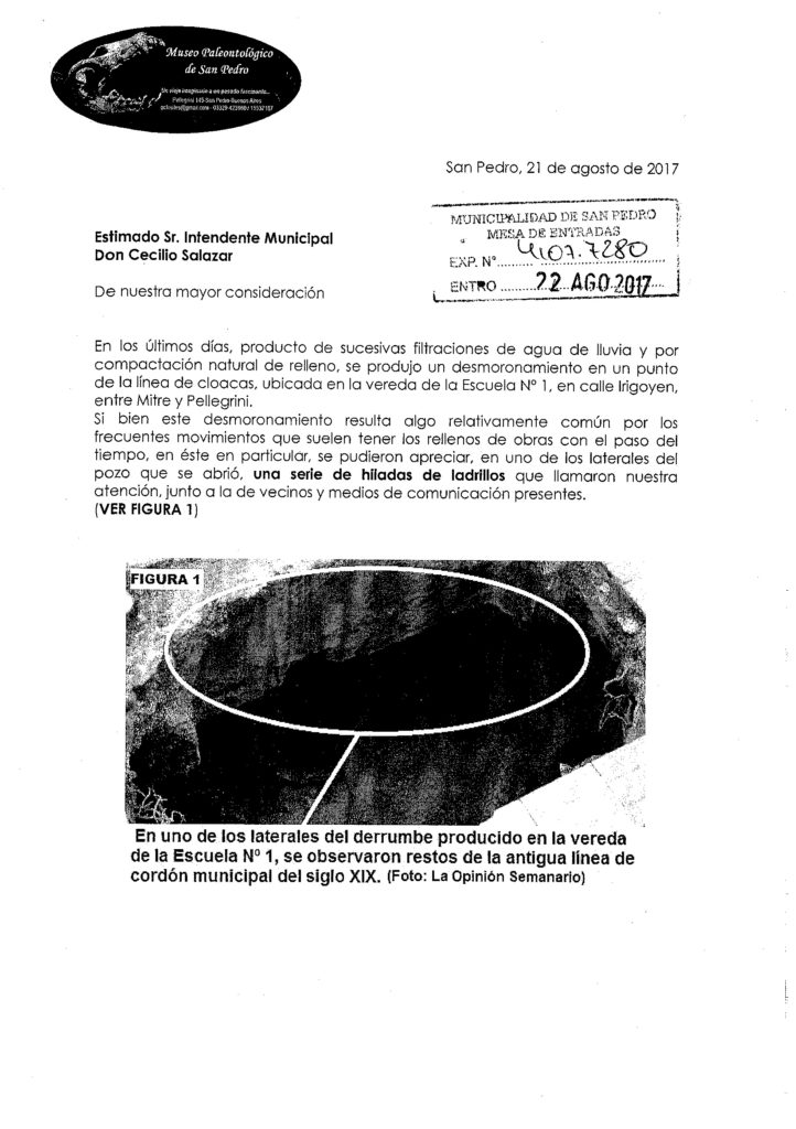 El Diario de San Pedro | Noticias locales y regionales