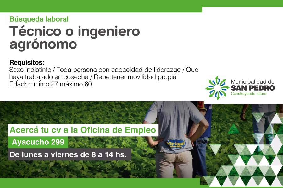 El Diario de San Pedro | Noticias locales y regionales