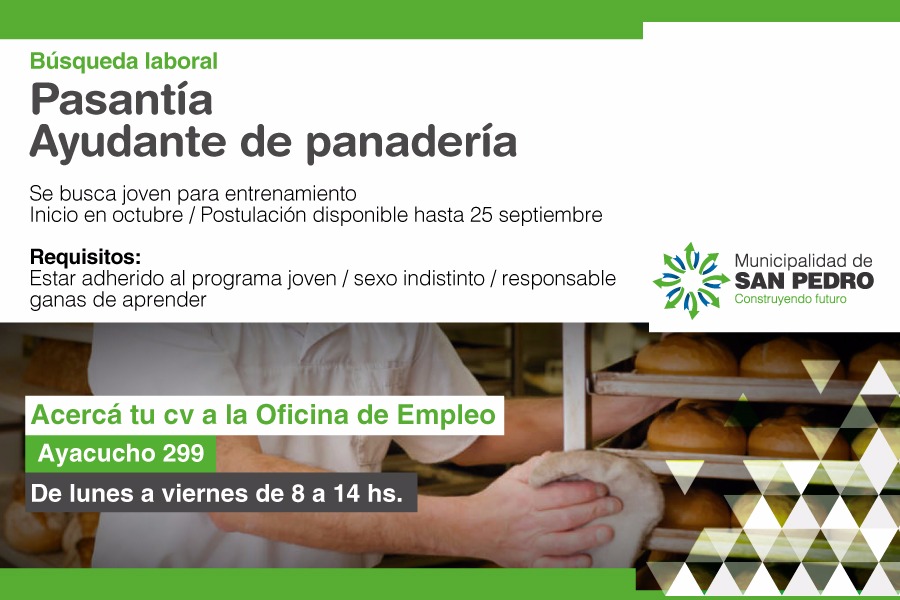 El Diario de San Pedro | Noticias locales y regionales