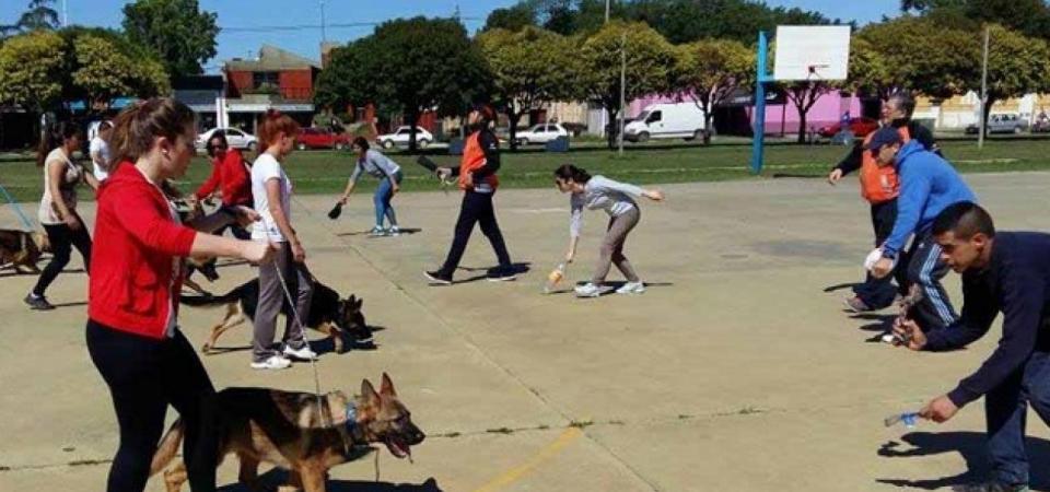 El Diario de San Pedro | Noticias locales y regionales