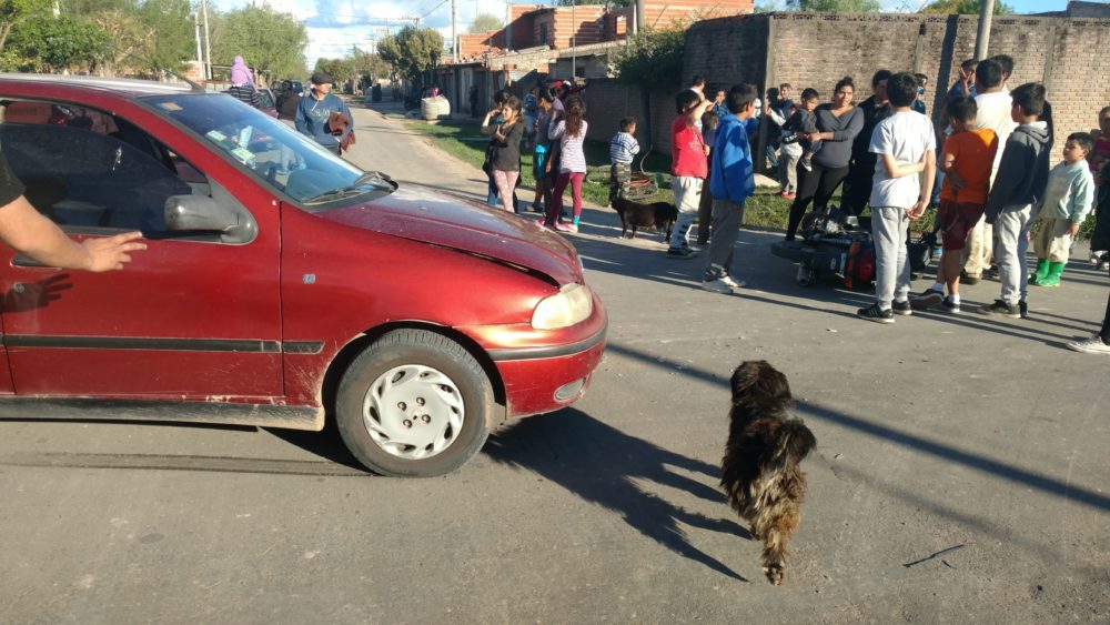 El Diario de San Pedro | Noticias locales y regionales