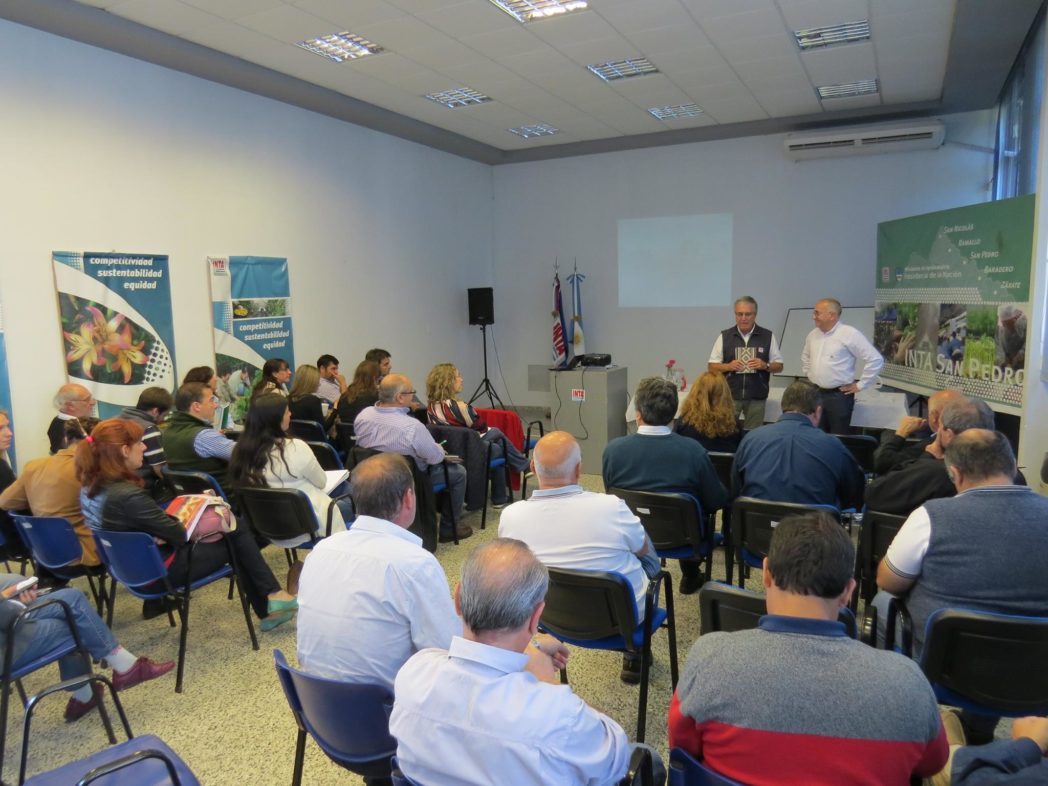 El Diario de San Pedro | Noticias locales y regionales