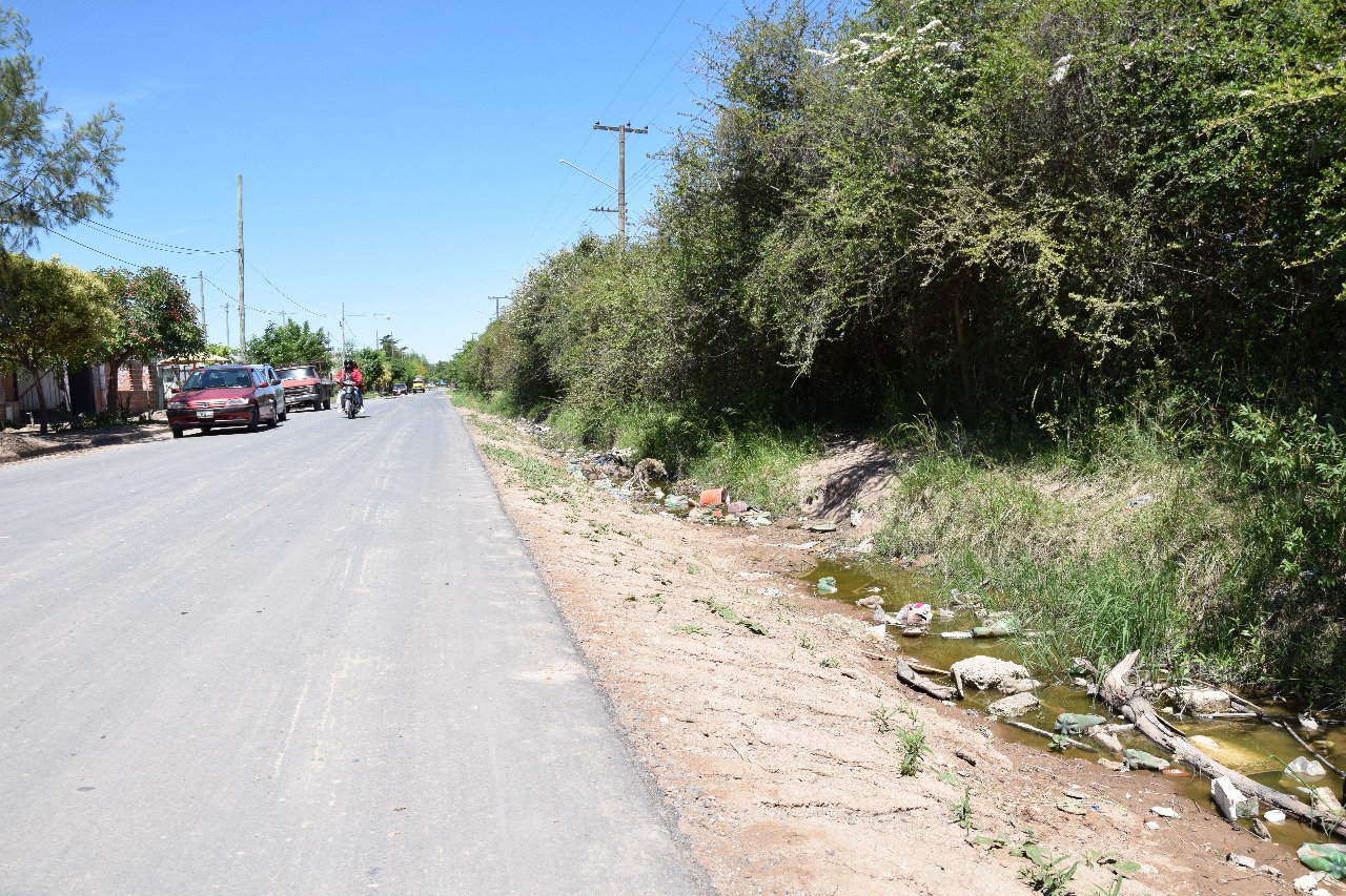 El Diario de San Pedro | Noticias locales y regionales