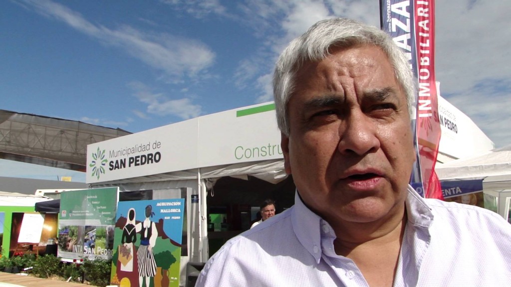 El Diario de San Pedro | Noticias locales y regionales