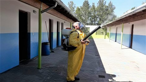 El Diario de San Pedro | Noticias locales y regionales