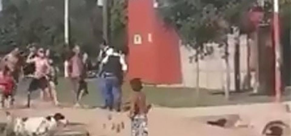 El Diario de San Pedro | Noticias locales y regionales