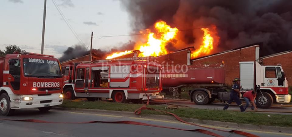 El Diario de San Pedro | Noticias locales y regionales