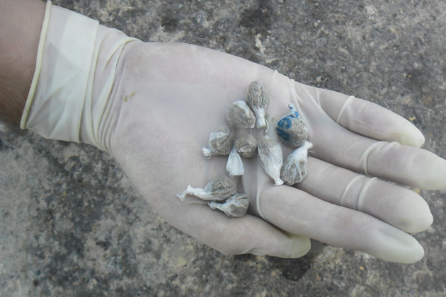 El Diario de San Pedro | Noticias locales y regionales