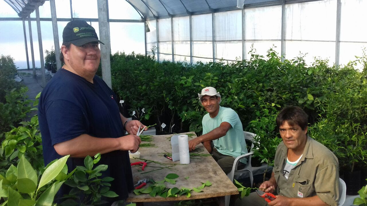 El Diario de San Pedro | Noticias locales y regionales