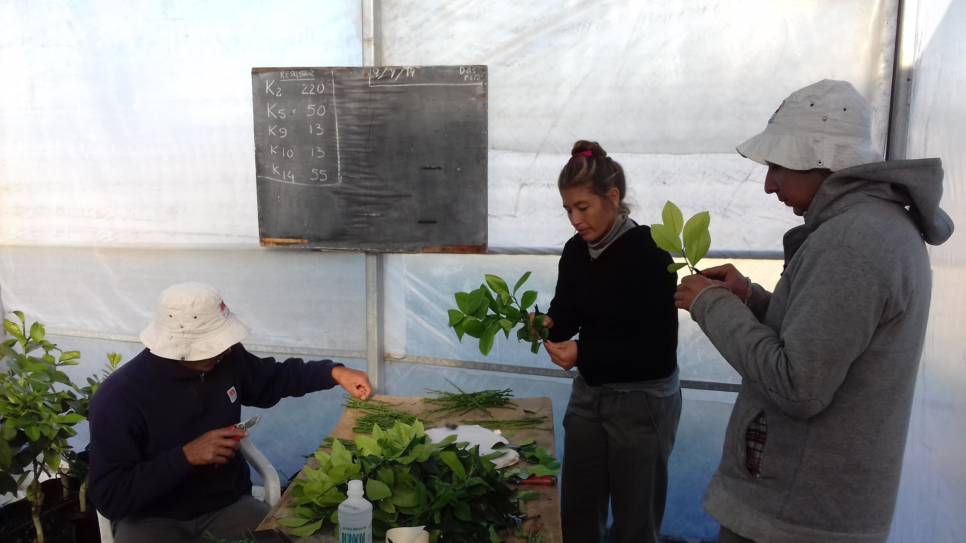 El Diario de San Pedro | Noticias locales y regionales