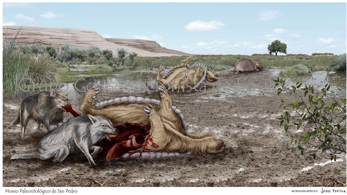 El Diario de San Pedro | Noticias locales y regionales