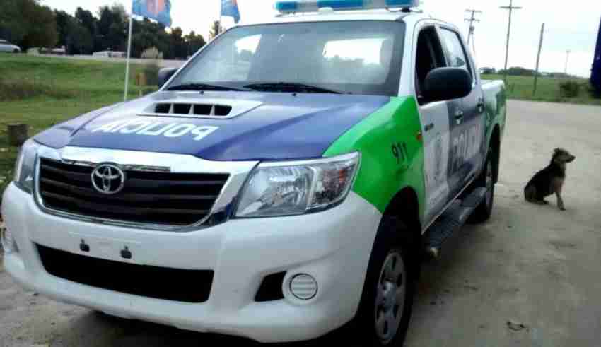 El Diario de San Pedro | Noticias locales y regionales