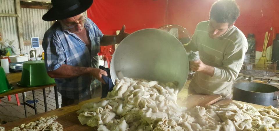 El Diario de San Pedro | Noticias locales y regionales