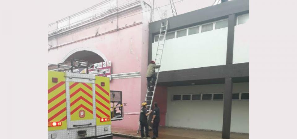 El Diario de San Pedro | Noticias locales y regionales