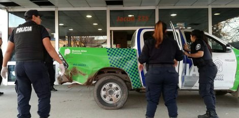 El Diario de San Pedro | Noticias locales y regionales