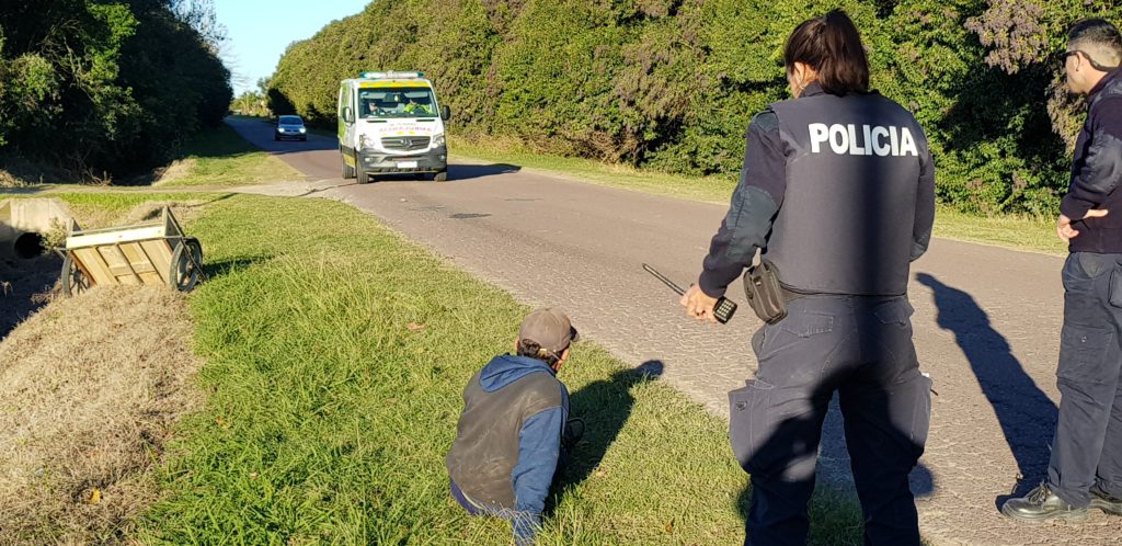 El Diario de San Pedro | Noticias locales y regionales